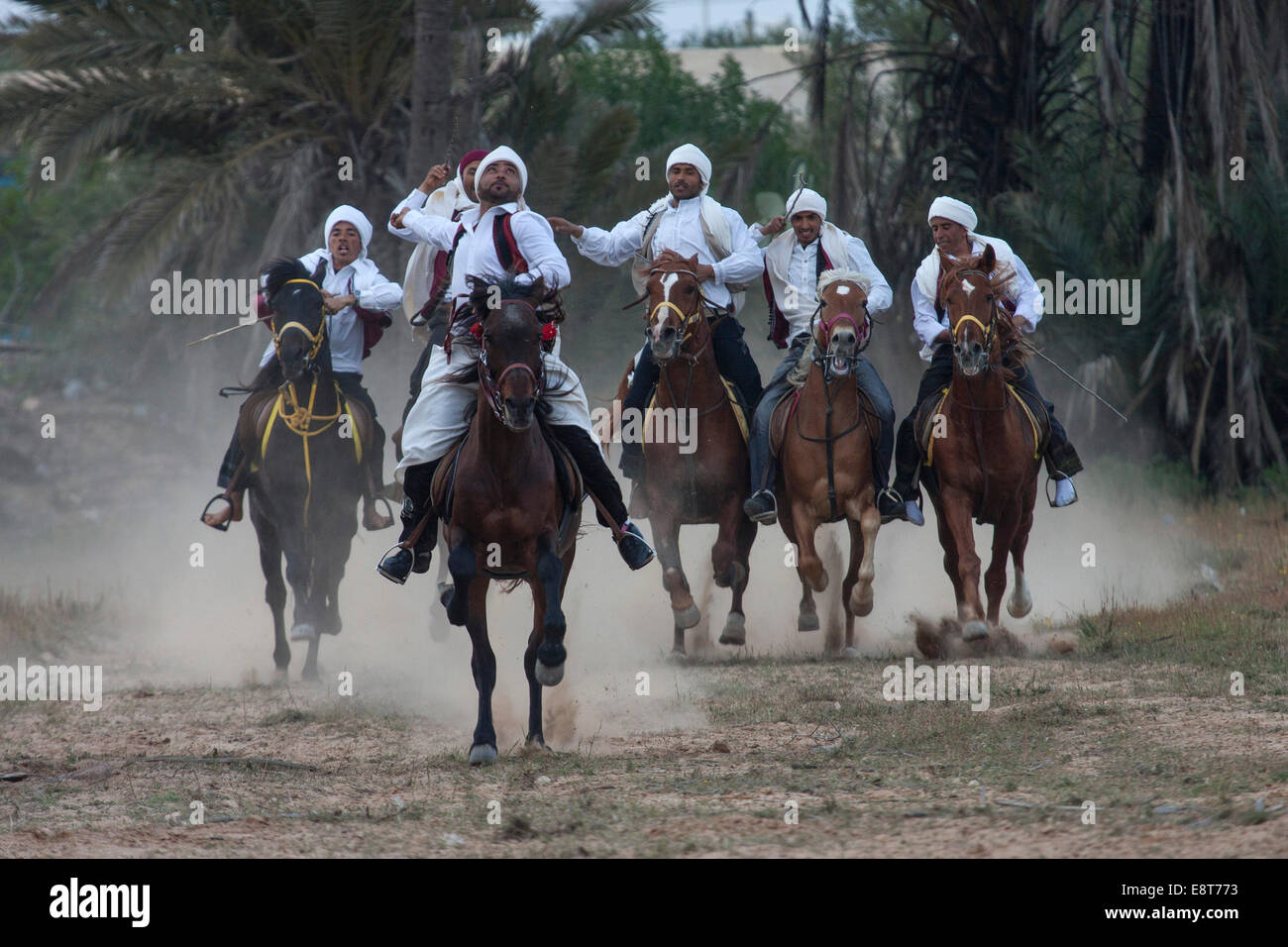 Jeux équestres, Fantasia, Midoun, Djerba, Tunisie Banque D'Images