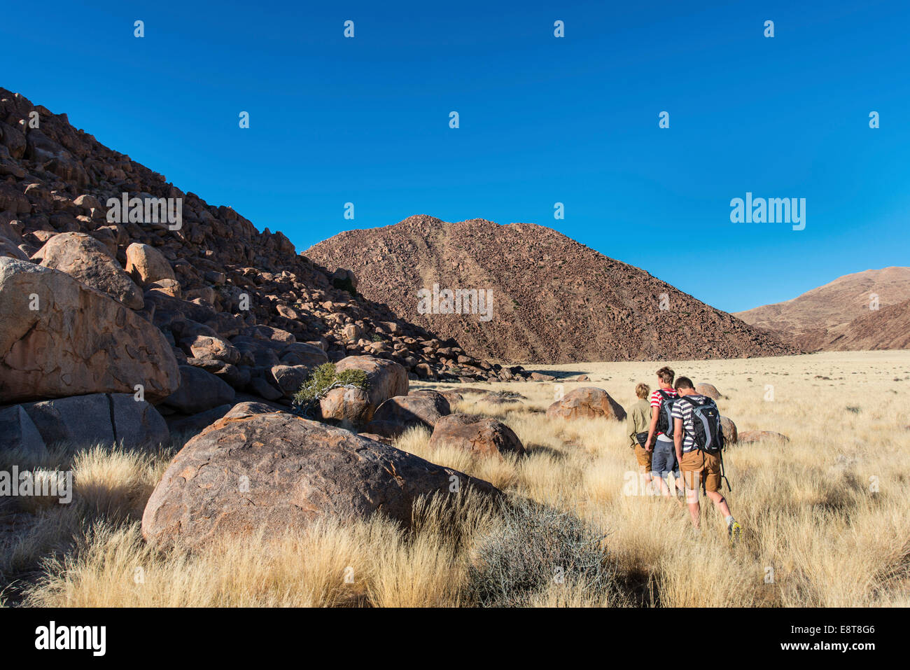 Trois randonneurs dans la région de Kunene, Savannah, en Namibie Banque D'Images