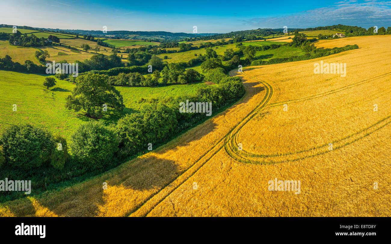 Vue aérienne de champs dans la campagne rurale Banque D'Images