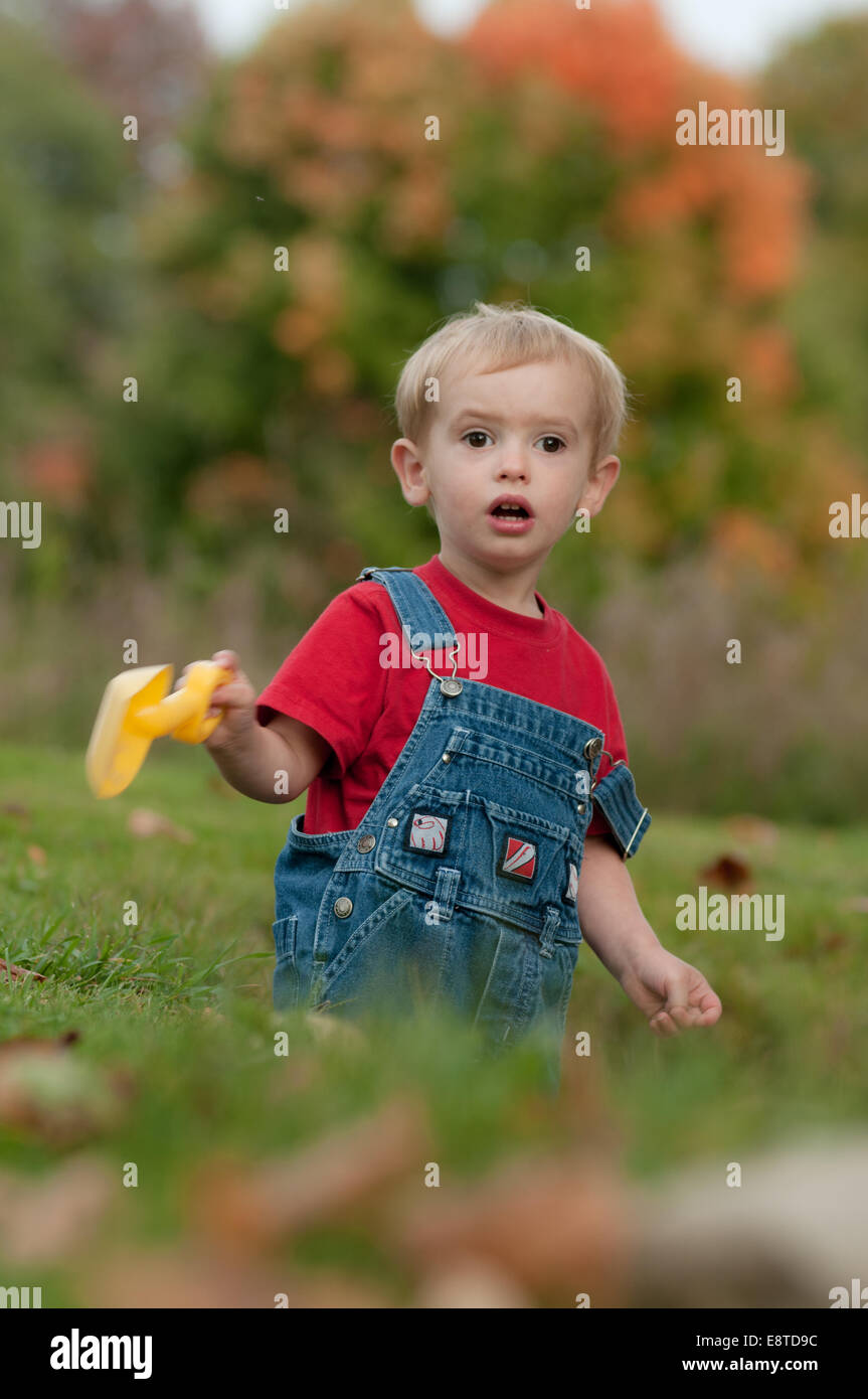 Un de deux ans, à un t-shirt et salopette denim recherche de surprise en jouant dans son jardin en automne. Banque D'Images