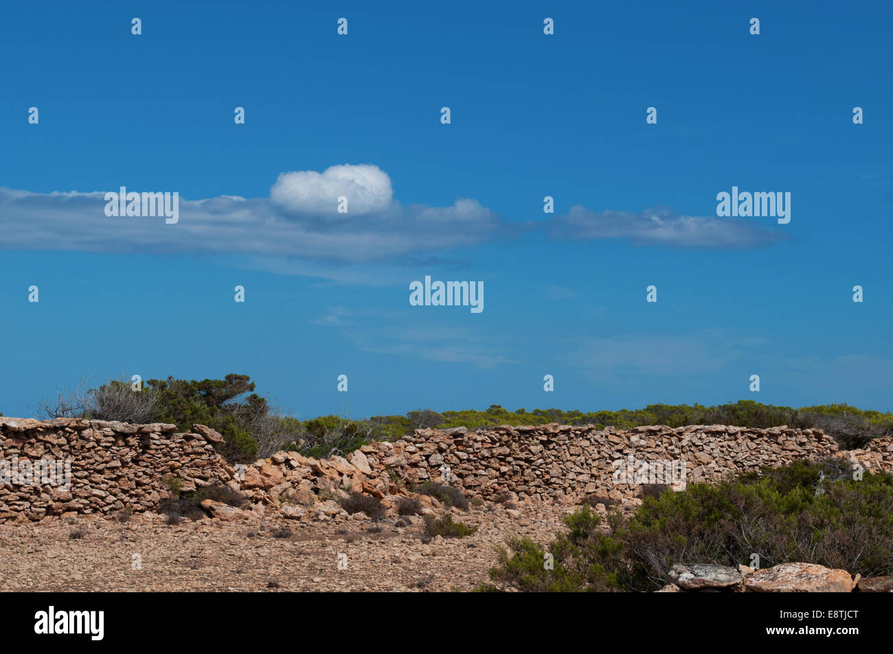 Fomentera, Îles Baléares, Espagne : un mur de pierre et vue sur le maquis méditerranéen à la campagne, l'été Banque D'Images