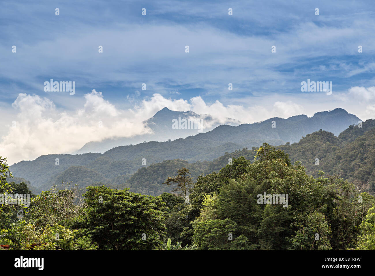 Les forêts tropicales et les montagnes, le parc national du Gunung Mulu, Sarawak, Malaisie Banque D'Images