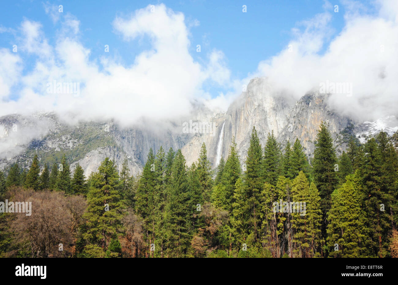 Les montagnes de Yosemite se cachant dans les nuages avec une forêt et une chute d'eau. Banque D'Images