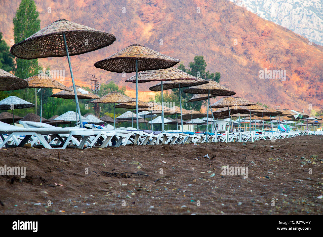 Des chaises longues avec parasols sur la plage dans une belle nature Banque D'Images