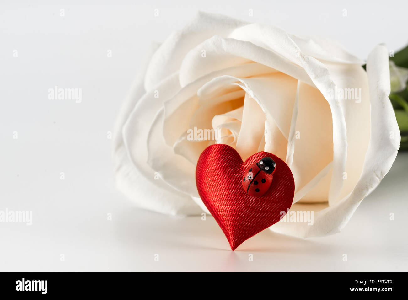 Décoration de saint Valentin coeur rouge et rose blanche Photo Stock - Alamy