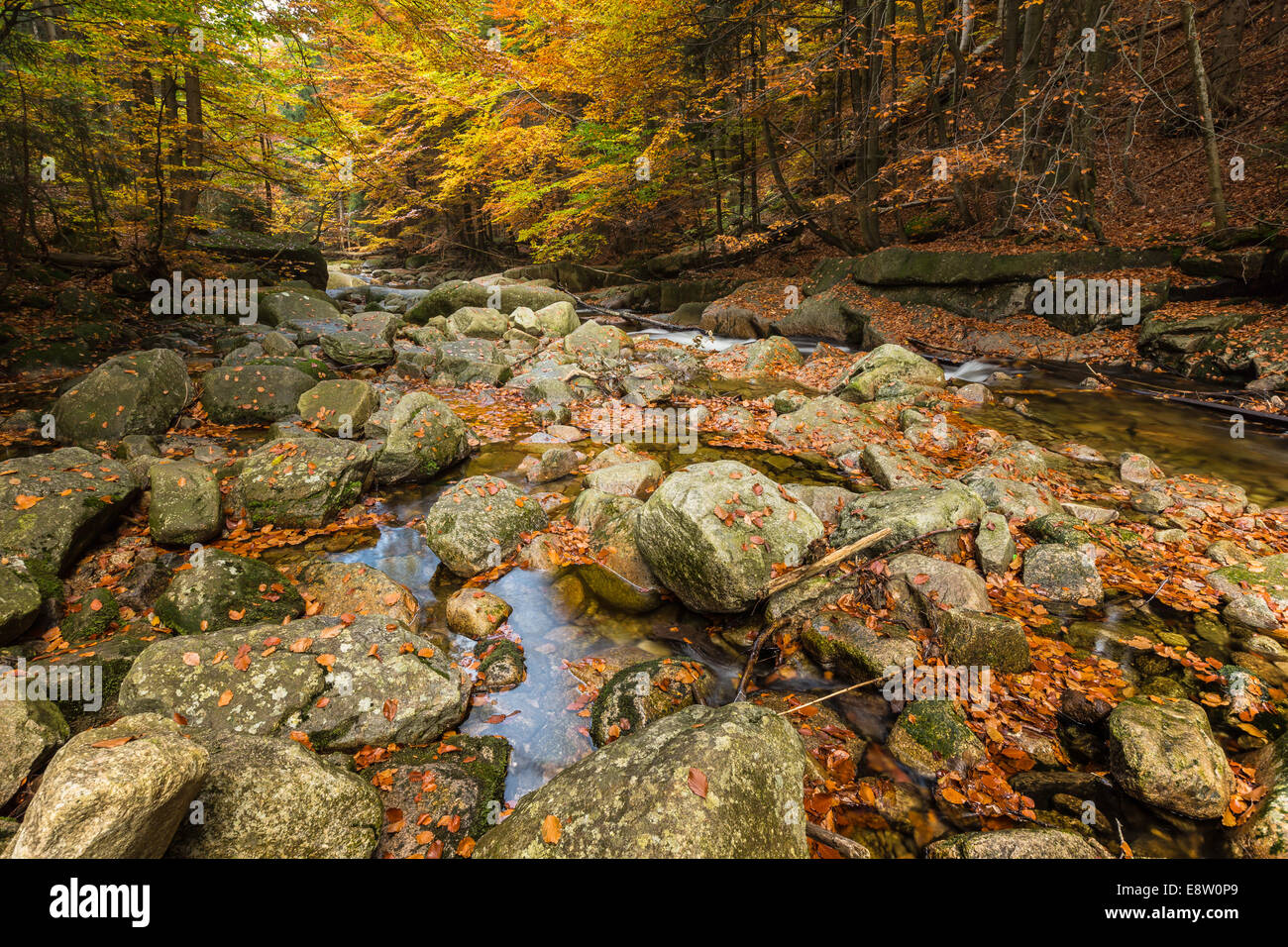 Mumlava Rivière et cascades, Giant mountain, North Bohemia, République Tchèque Banque D'Images