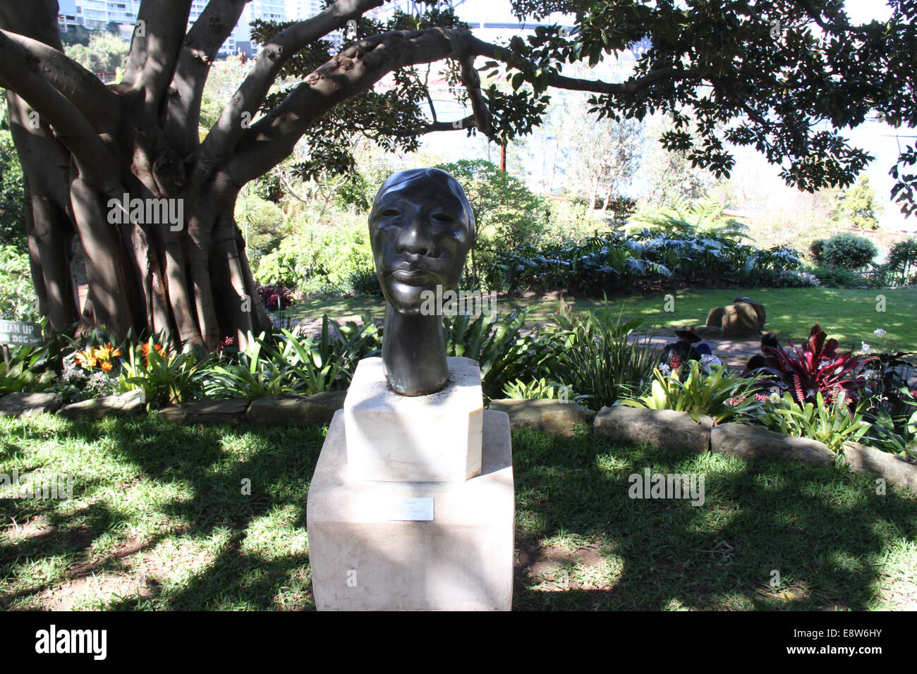 Une sculpture intitulée 'head' par Joel Elenberg dans le jardin, Wendy Whitely Lavender Bay, Sydney. Banque D'Images