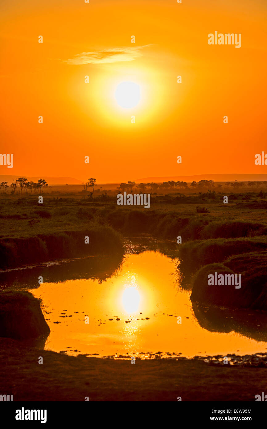 Lever du soleil avec des reflets dans un lac, Maasai Mara National Reserve, Kenya Banque D'Images