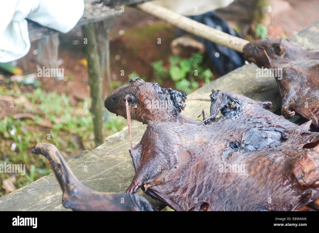 Vente de viande de brousse nigérians (surtout le porc-épic) sur le côté de la route dans l'état de Cross River, au Nigeria Banque D'Images
