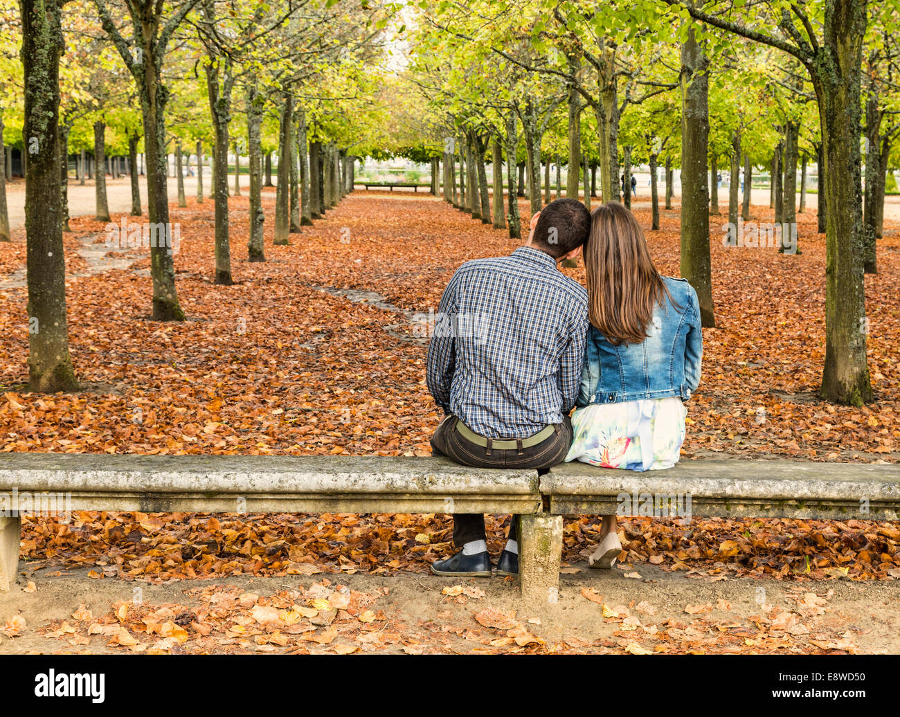 Vue arrière d'un jeune couple assis tête en tête sur un banc dans un parc urbain à l'automne Banque D'Images