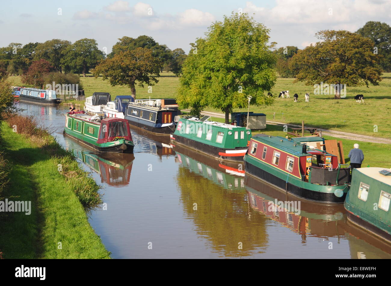 Du canal de Shropshire Union au sud-est de Hargrave The Waverton et Chester Banque D'Images