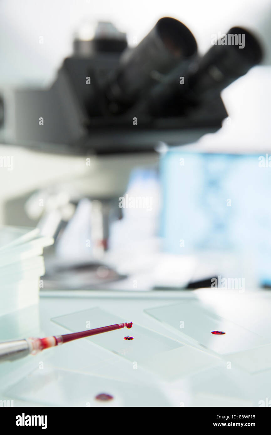 Close up of pipette dropping échantillon sur microscope in lab Banque D'Images