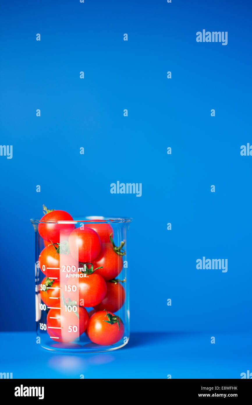 Bécher de petites tomates sur compteur bleu Banque D'Images