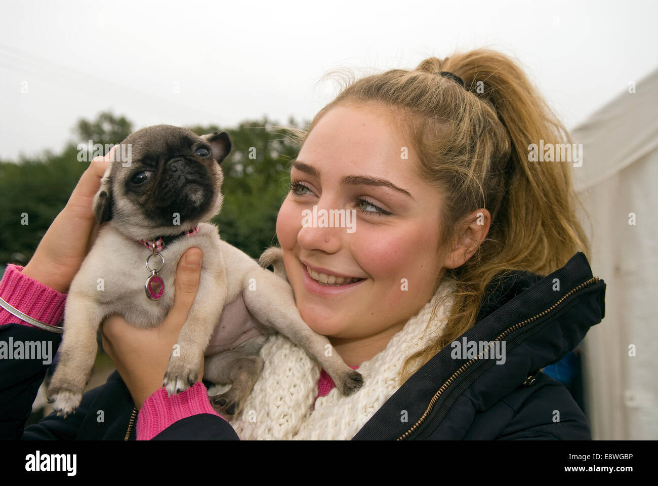 Fille de 18 ans avec ses 13 semaines - un chien d'animal familier, Pug Blackmoor, Hampshire, Royaume-Uni. Banque D'Images