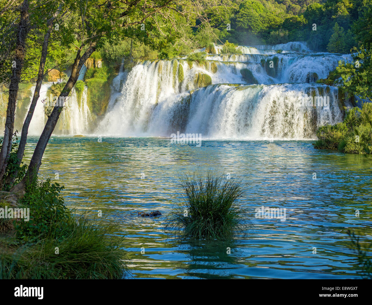 Croatie NP Le Parc National de Krka plus belle nature en Croatie Skradin nature chutes d'eau verte calcium frais carbona Banque D'Images