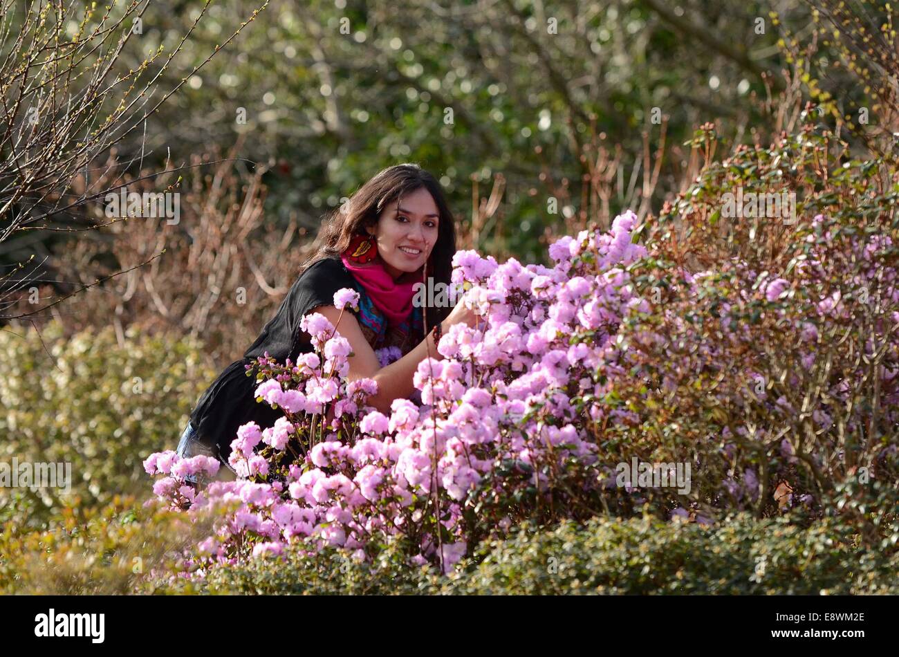 Soncco étudiant Ritti admire certains début du printemps s'épanouir à Seaton Park, Aberdeen Banque D'Images