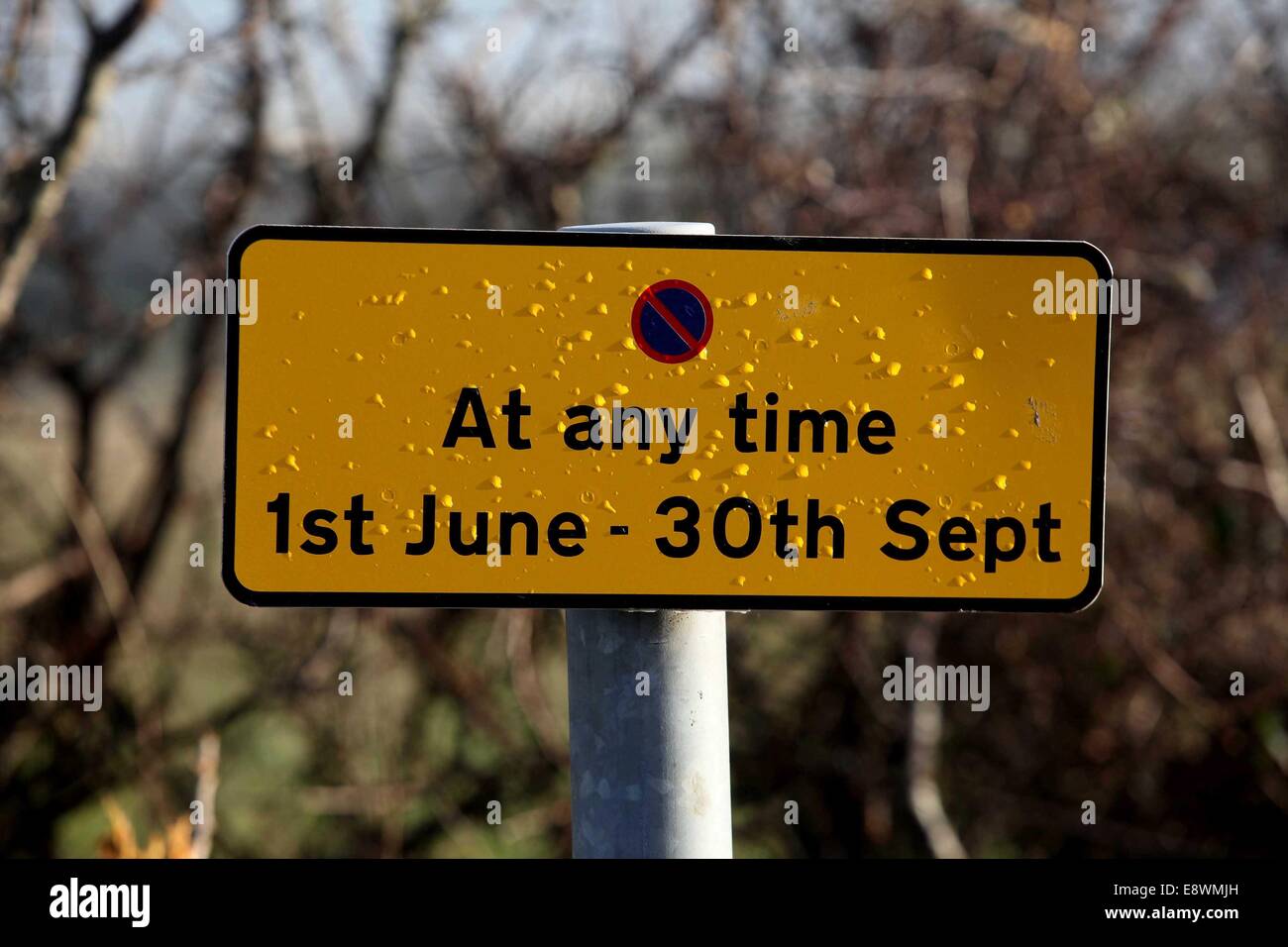 Panneau routier - Pas de stationnement à tout moment Banque D'Images