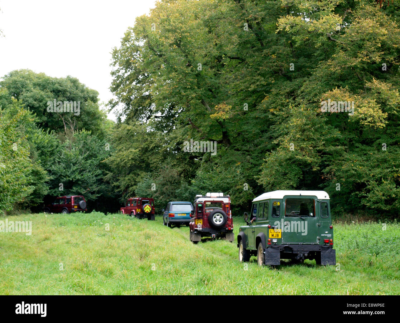 Land-rovers, voies vertes, Dorset, UK Chettle Banque D'Images