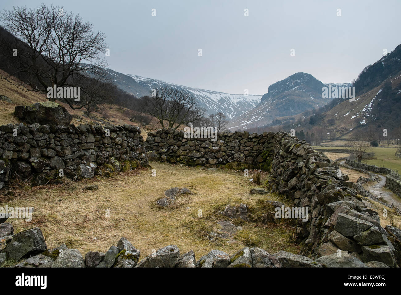 Stonethwaite vue sur la vallée vers Eagle Crag, Borrowdale, Lake District, Angleterre Banque D'Images