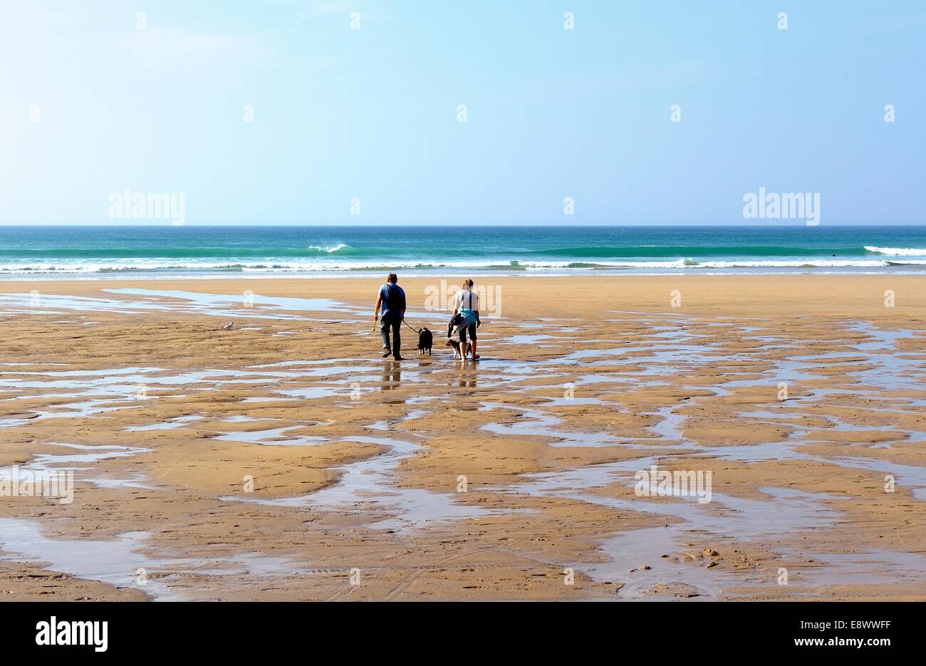 Un couple en train de marcher un chien sur la plage Cornwall England uk Penhale Banque D'Images