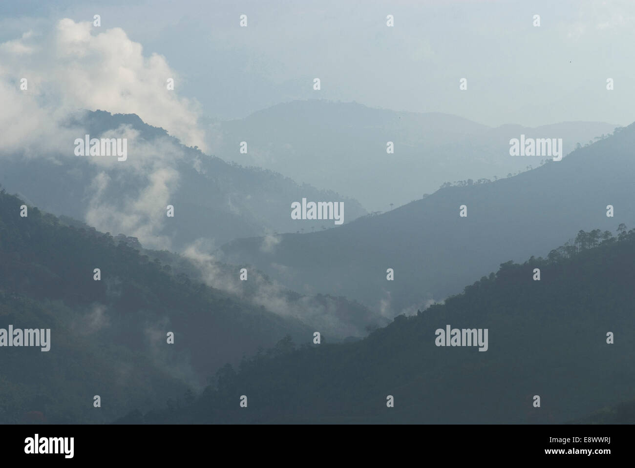 Vue sur la vallée de la Hacienda El Caney (plantation), dans la région de production de café, près de Manizales, Colombie Banque D'Images