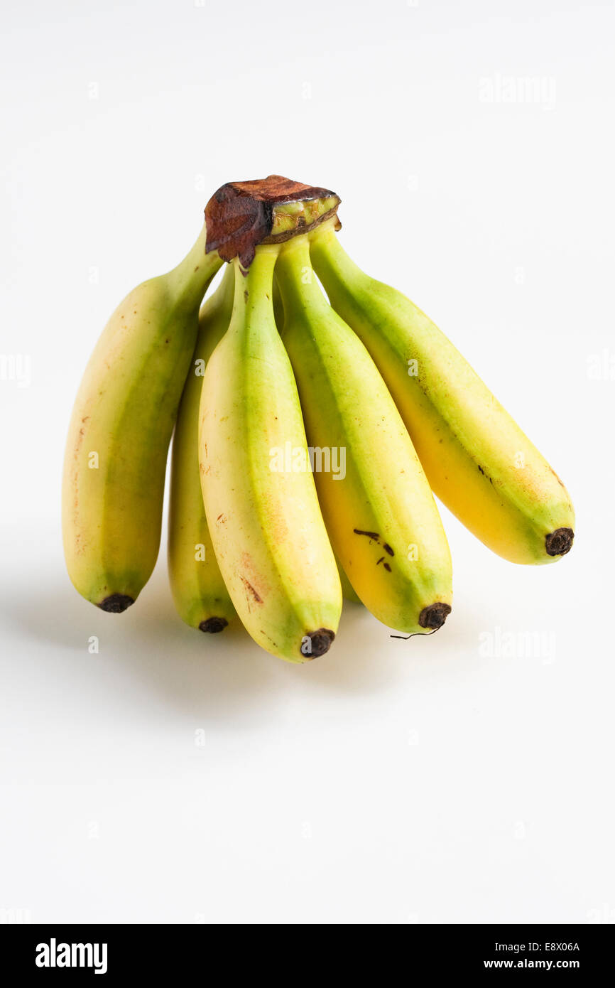 Musa. Un tas de mini bananes. Banque D'Images