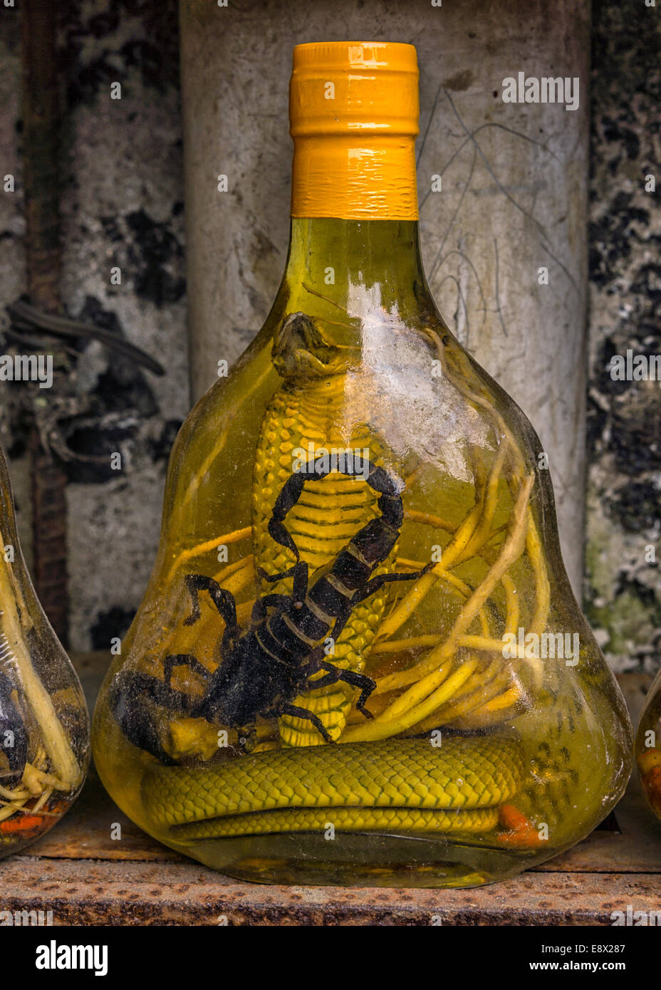 Liqueur de scorpion Banque de photographies et d'images à haute résolution  - Alamy