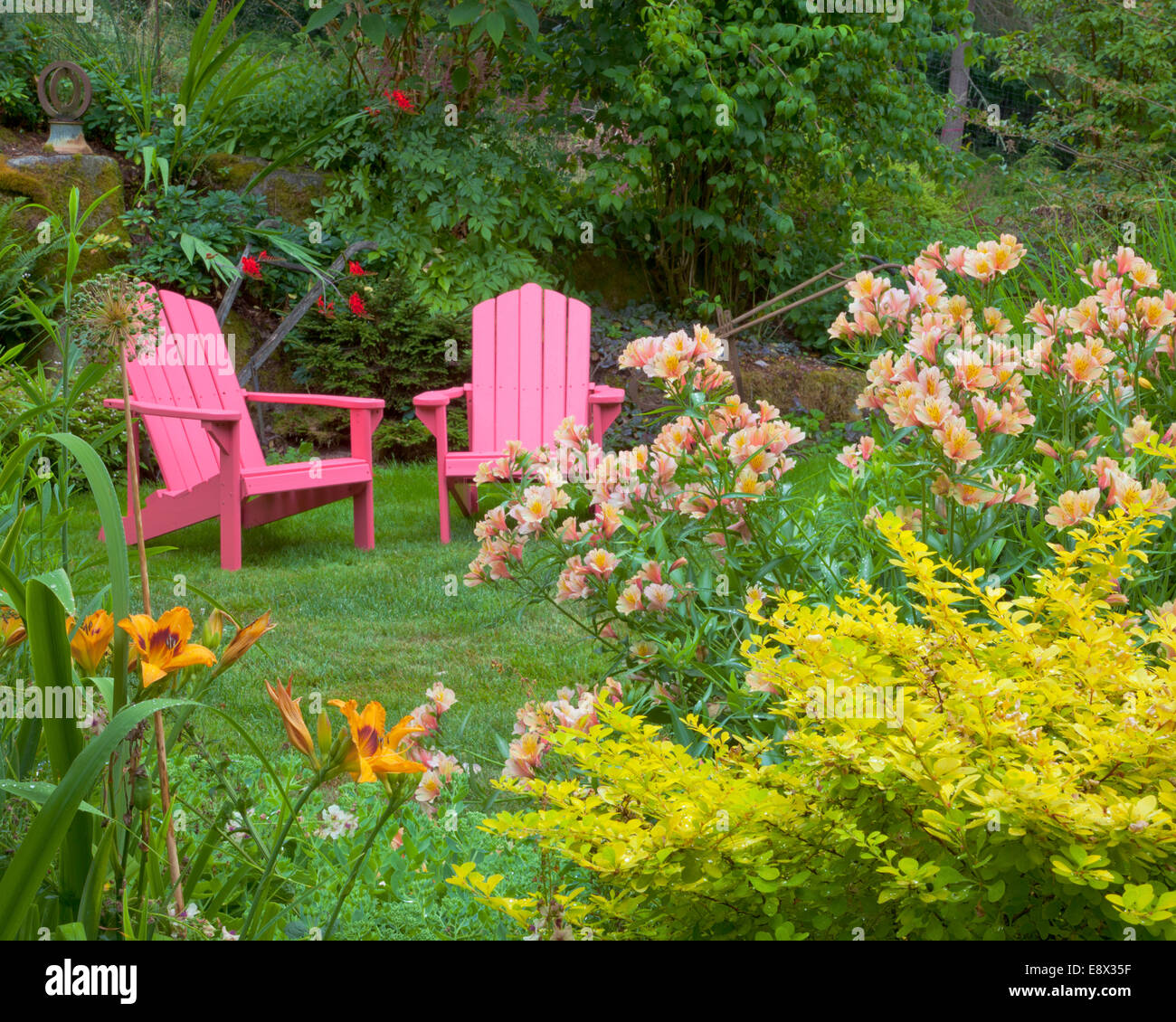 Vashon-Maury Island, WA : un jardin de plantes vivaces d'épine-vinette, alstromeria et d'hémérocalles mène à des chaises aux couleurs vives Banque D'Images