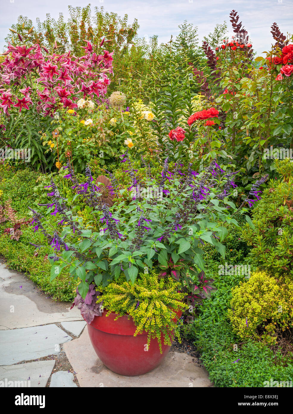 Vashon-Maury Island, WA : Maison mitoyenne avec jardin patio dallé vivaces Banque D'Images