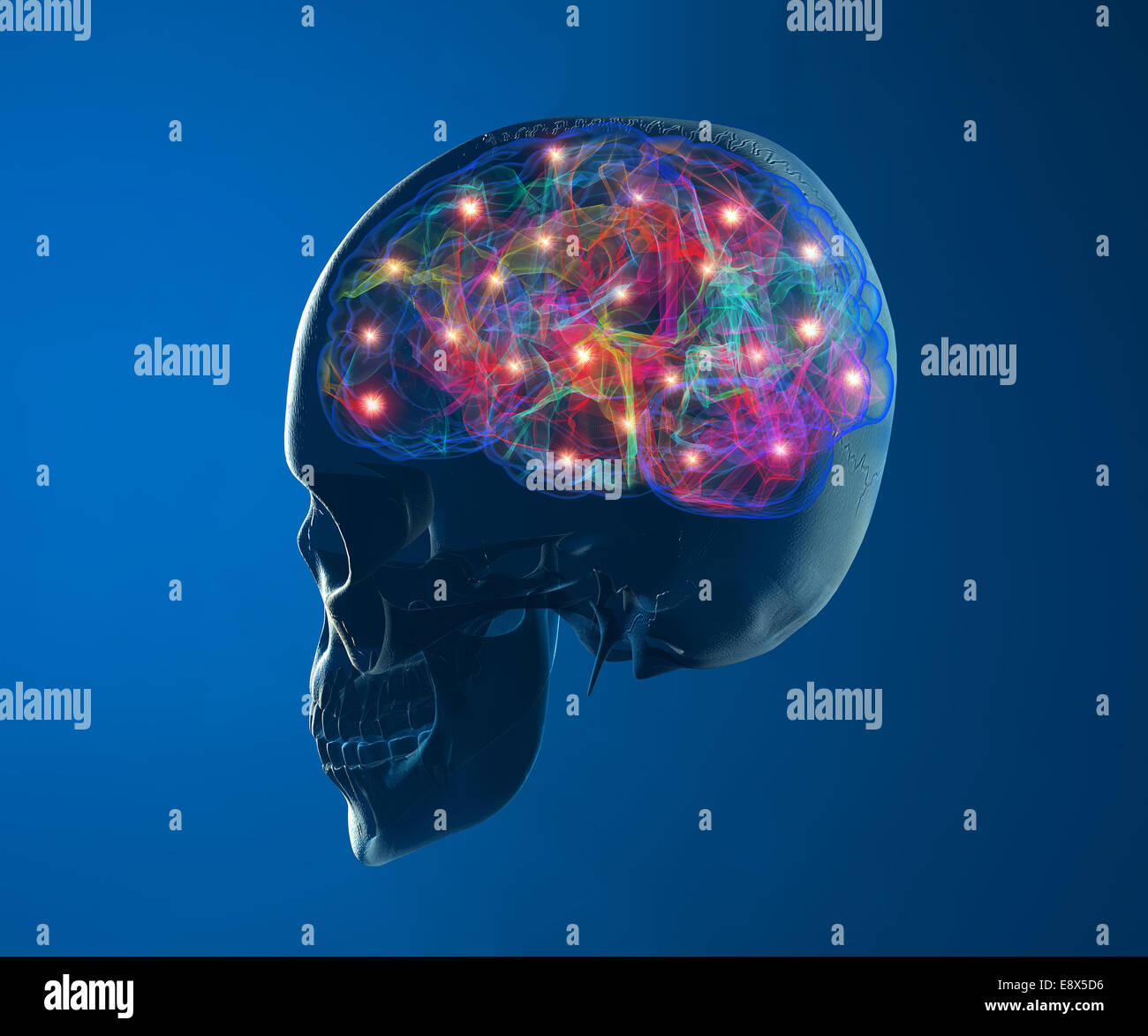 Synapses neuronales du cerveau Banque de photographies et d’images à ...