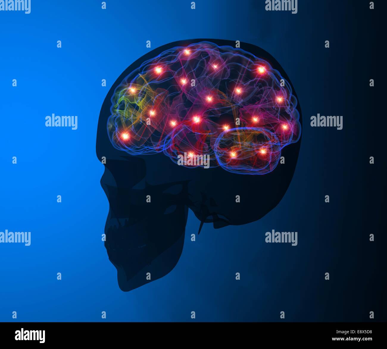 Les neurones du cerveau 3D du crâne de synapse Banque D'Images