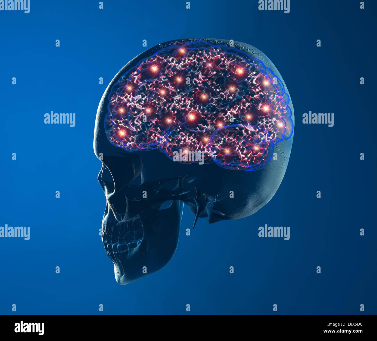 Les neurones du cerveau 3D du crâne de synapse Banque D'Images