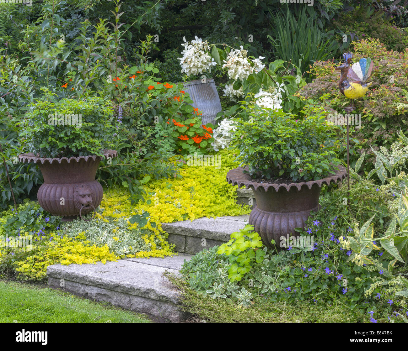 Vashon-Maury Island, WA : marches de pierre menant à un jardin d'été avec des plantes en pot et de fleurs Banque D'Images Vashon-Maury Island, WA : marches de pierre menant à un jardin d'été avec des plantes en pot et de fleurs Banque D'Images