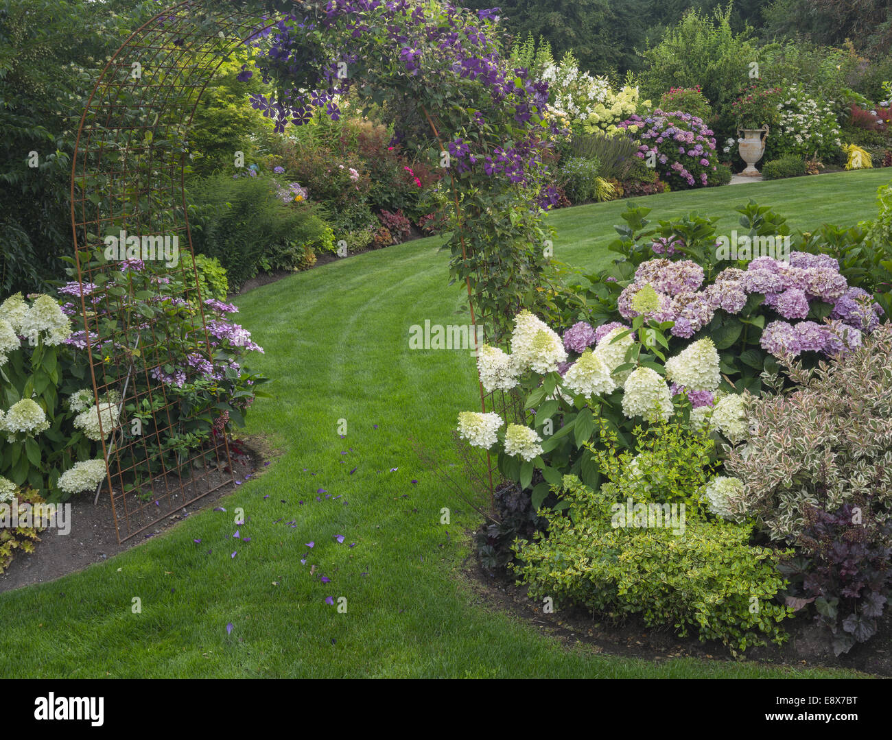 Vashon-Maury Island, WA : chemin de pelouse avec trellis dans un jardin d'été Banque D'Images Vashon-Maury Island, WA : chemin de pelouse avec trellis dans un jardin d'été Banque D'Images