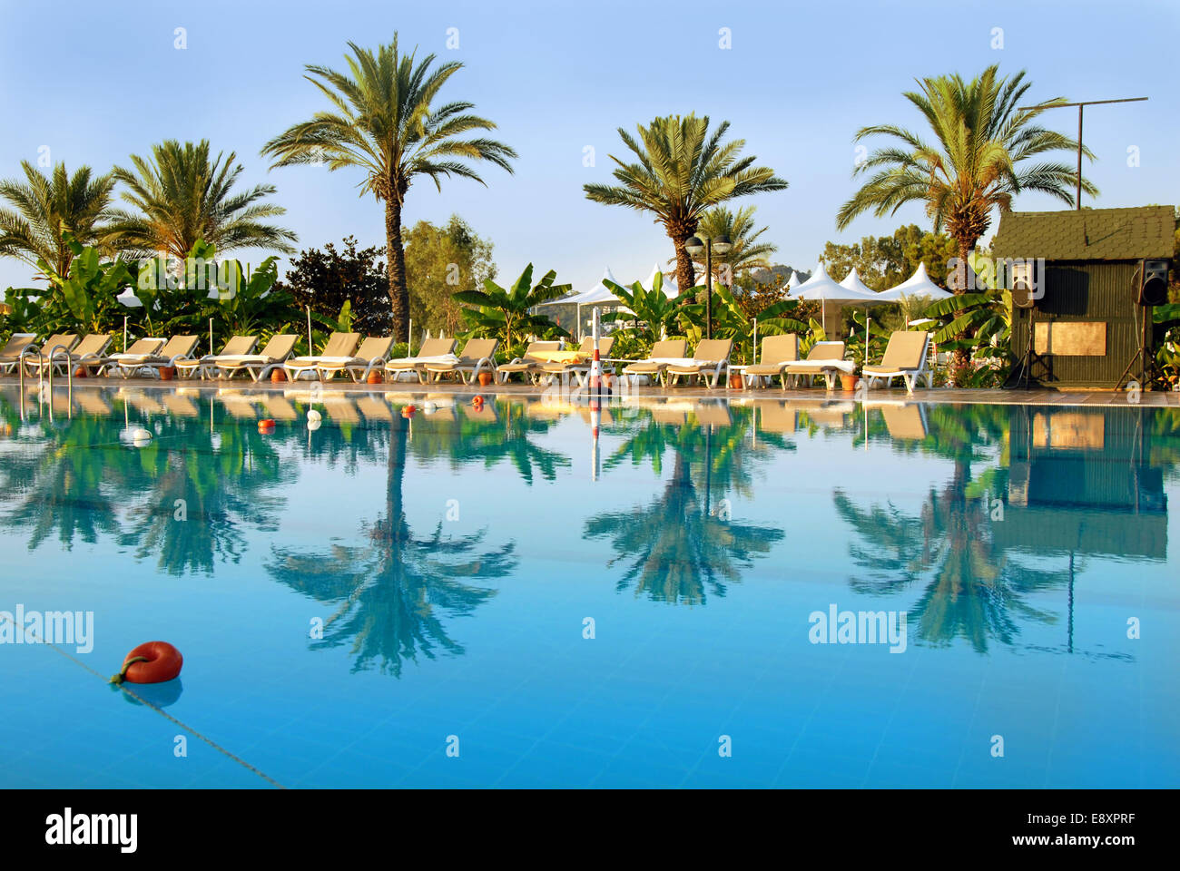 Palmiers et chaises par piscine Banque D'Images