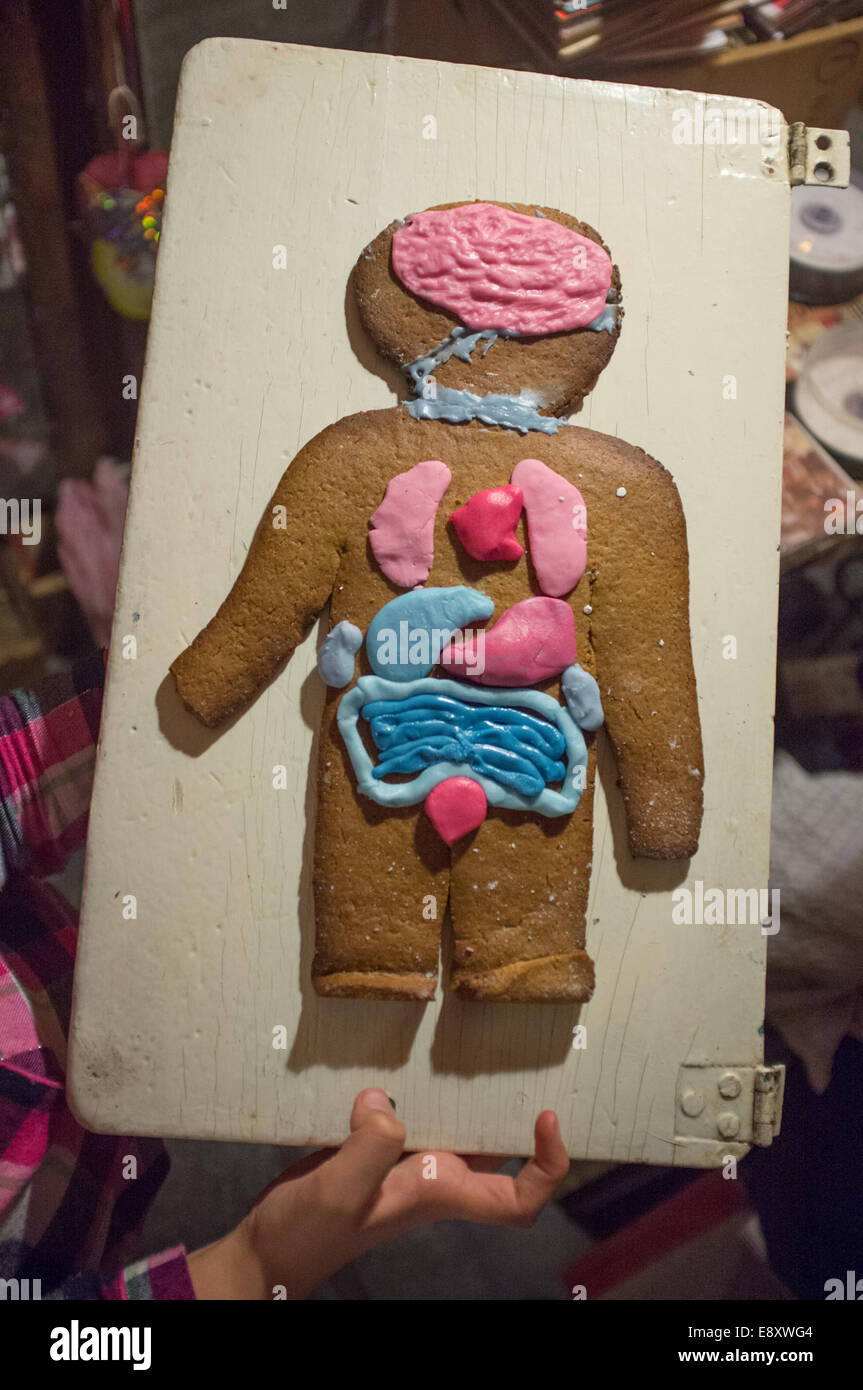 Gingerbread Man montrant l'anatomie humaine Banque D'Images
