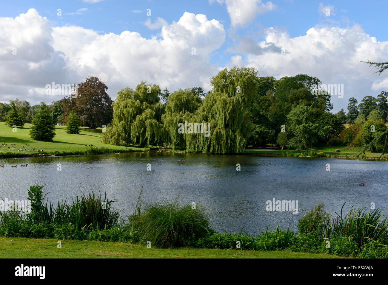 Dans le lac du parc du château de Leeds, arbres et lac en grand parc au château médiéval, vert nature tourné en lumière vive sous un ciel nuageux Banque D'Images