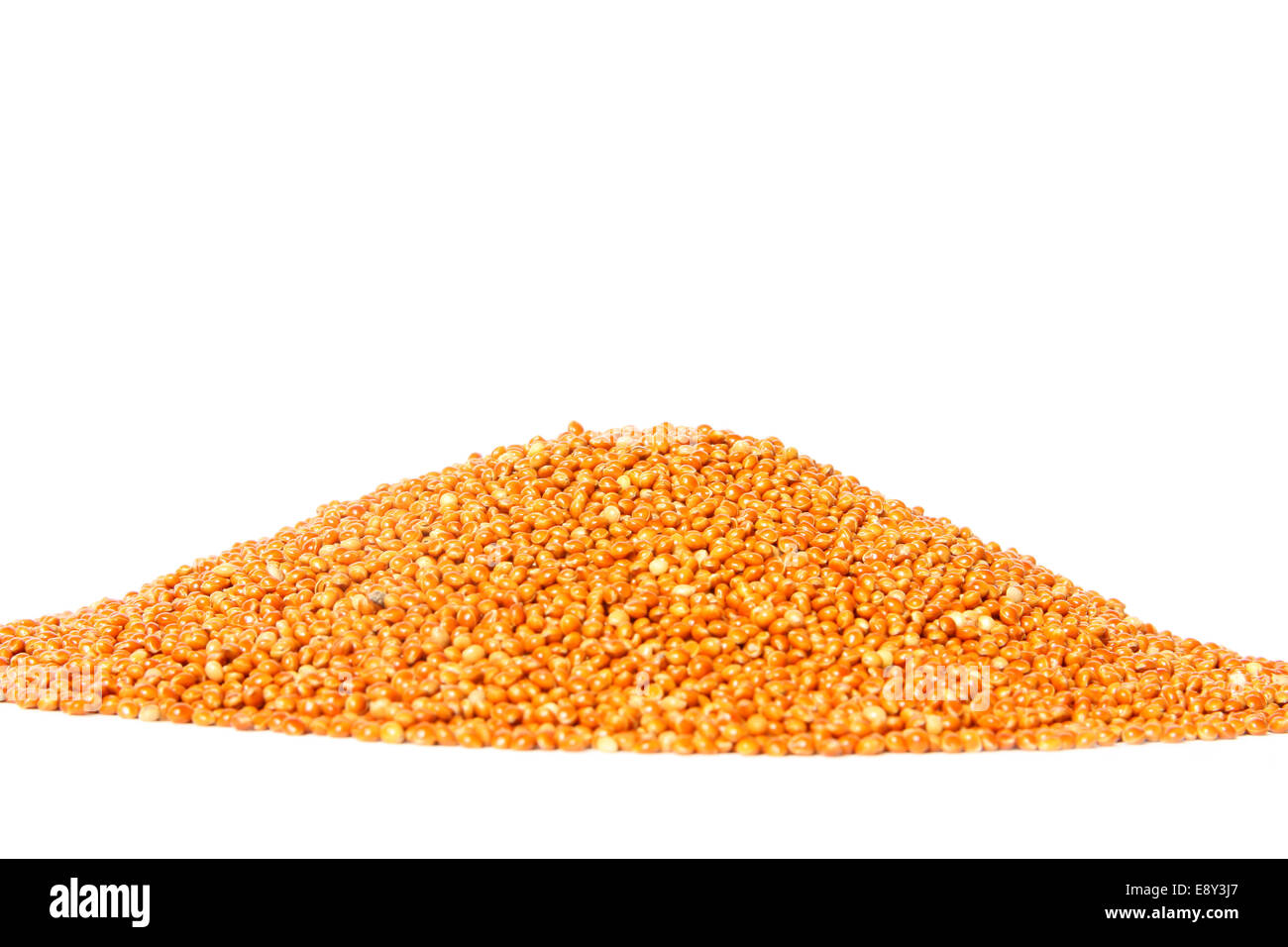 Un tas de graines de millet (Panicum miliaceum) Banque D'Images