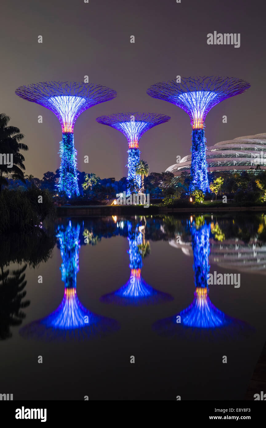Gardens by the Bay se reflétant dans l'eau la nuit, à Singapour, en Asie Banque D'Images