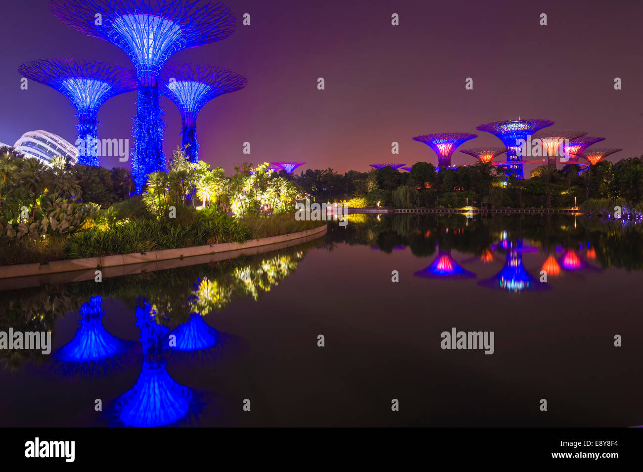 Gardens by the Bay se reflétant dans l'eau la nuit, à Singapour, en Asie Banque D'Images