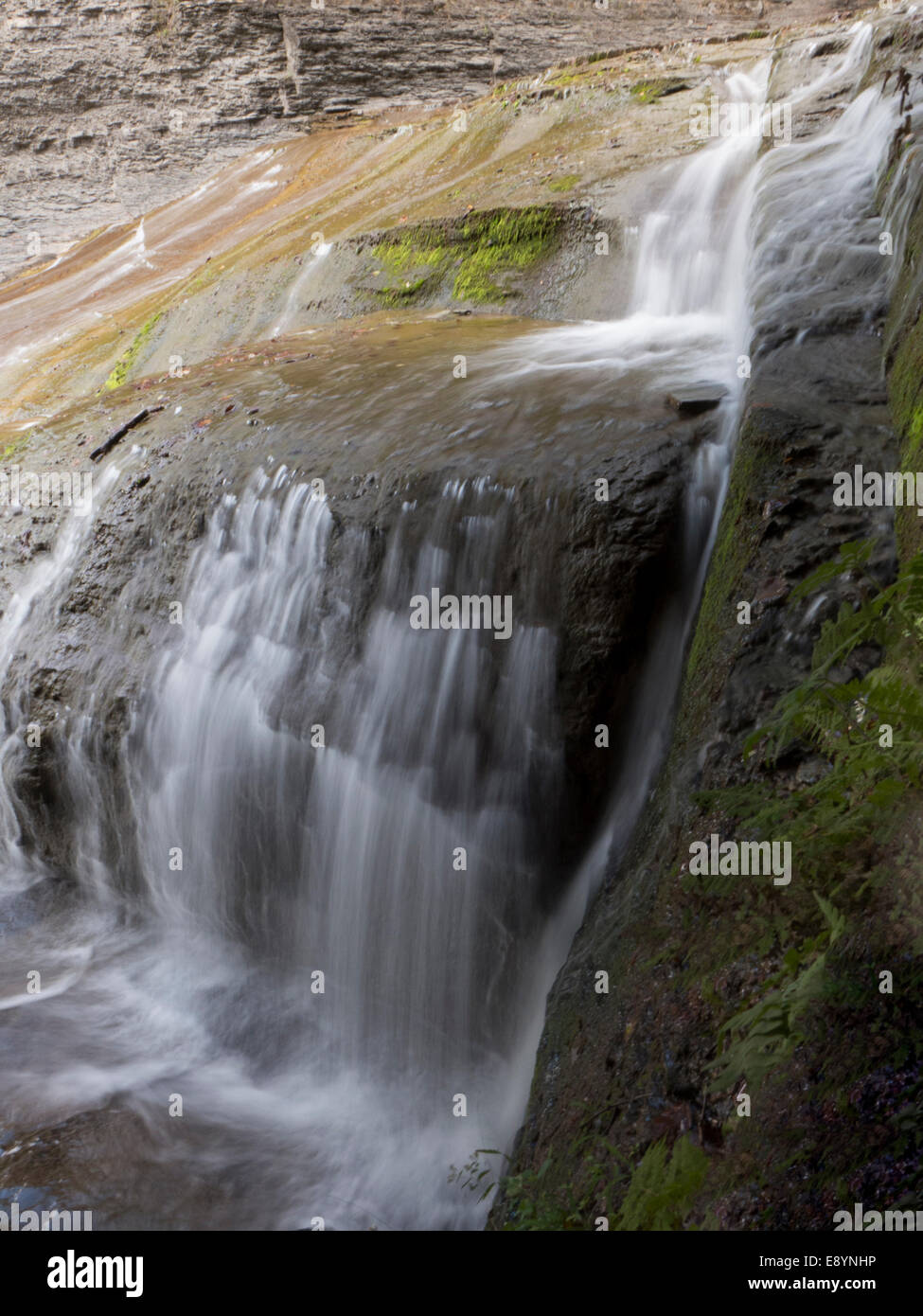 Buttermilk Falls, Ithaca NY USA. Banque D'Images