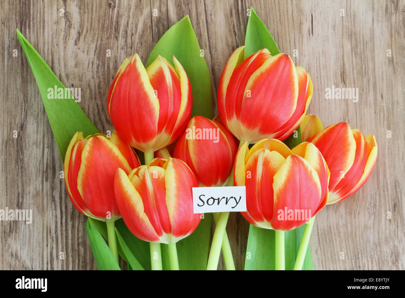 Désolés carte avec tulipes jaune et rouge Banque D'Images