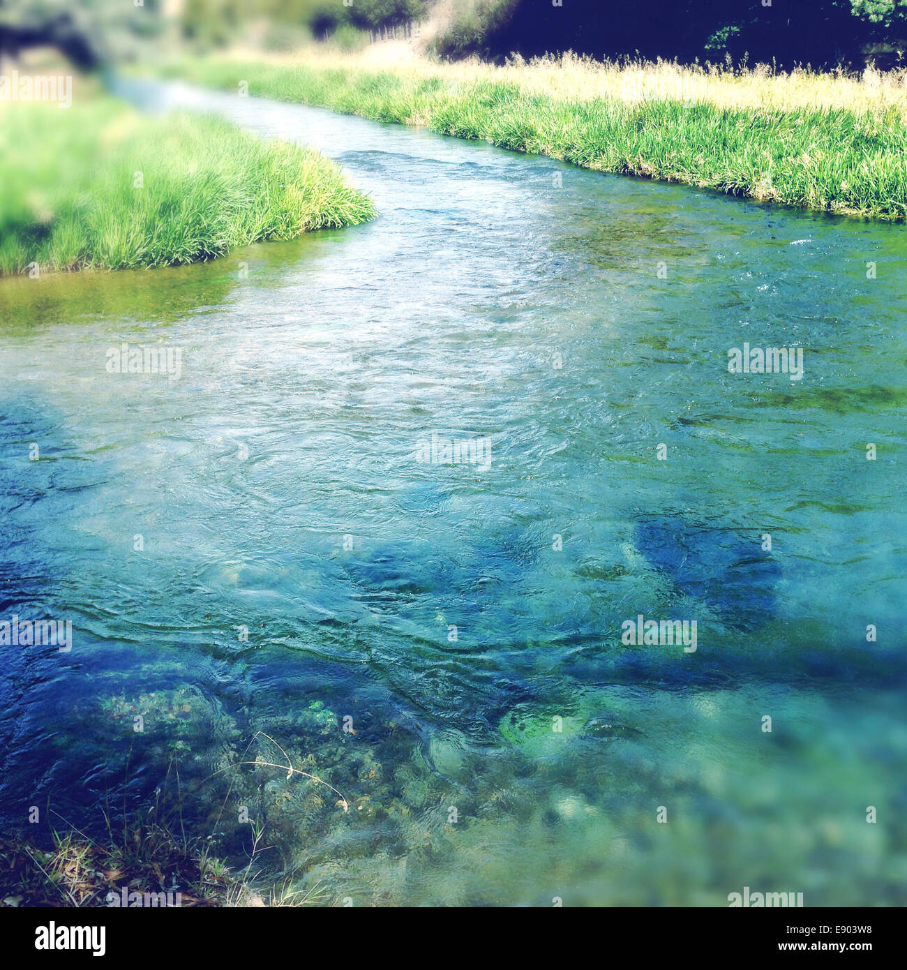 L'eau de source pure clean stream Banque D'Images