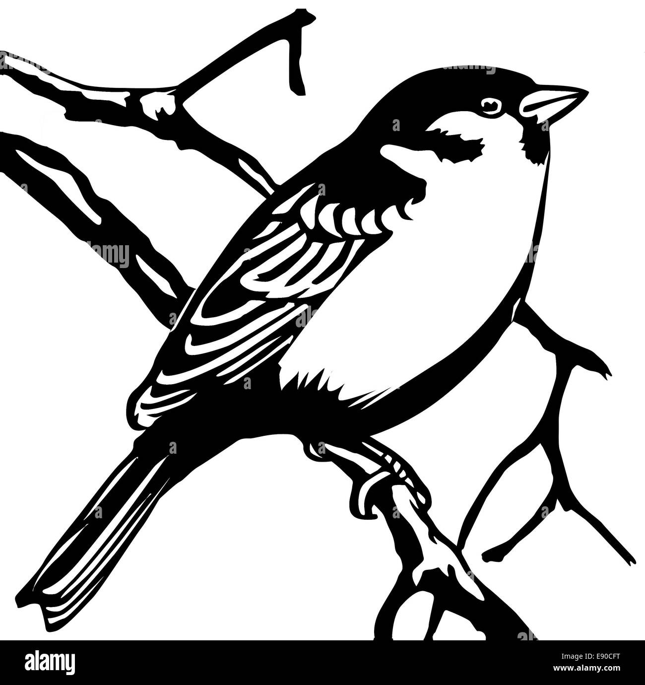 Silhouette moineau sur fond blanc Banque D'Images