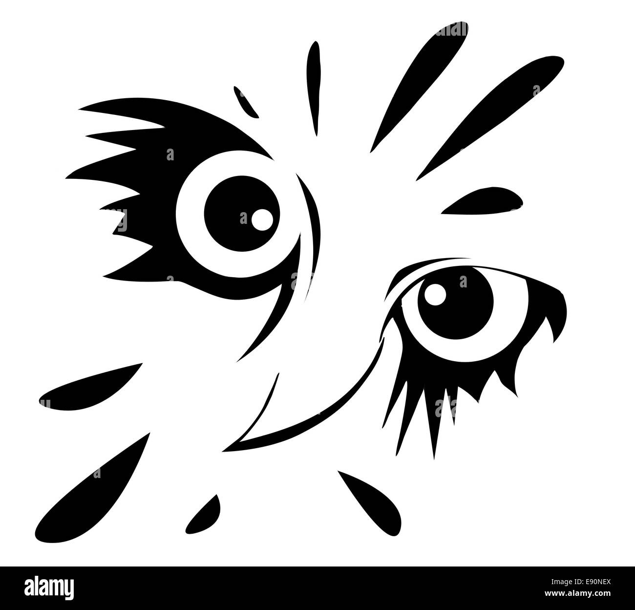 Dimensions de la chouette sur fond blanc Banque D'Images