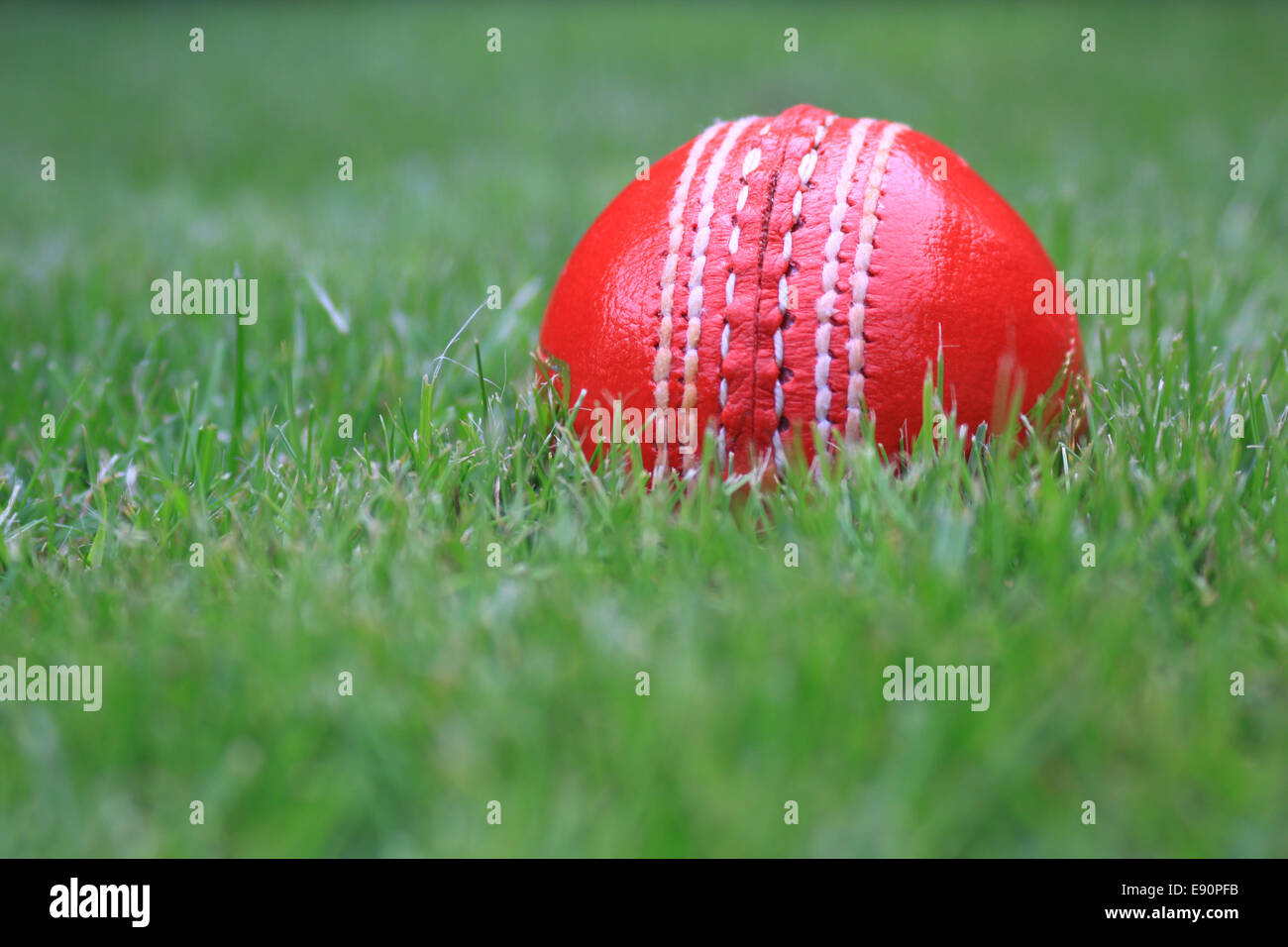 Cricket Ball en cuir Banque D'Images
