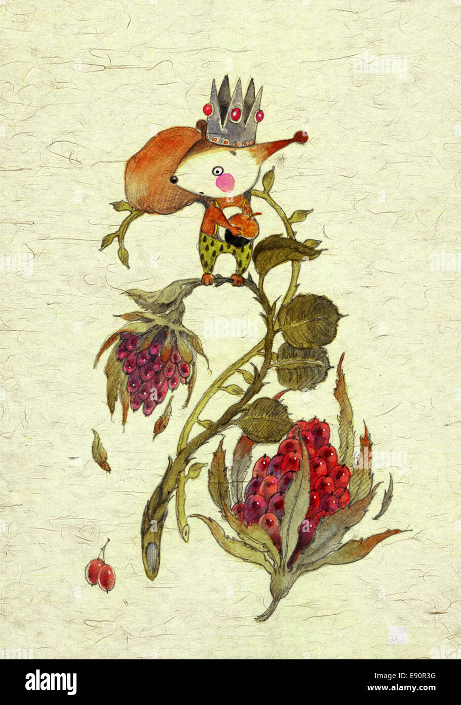 Illustration de squirrel Banque D'Images