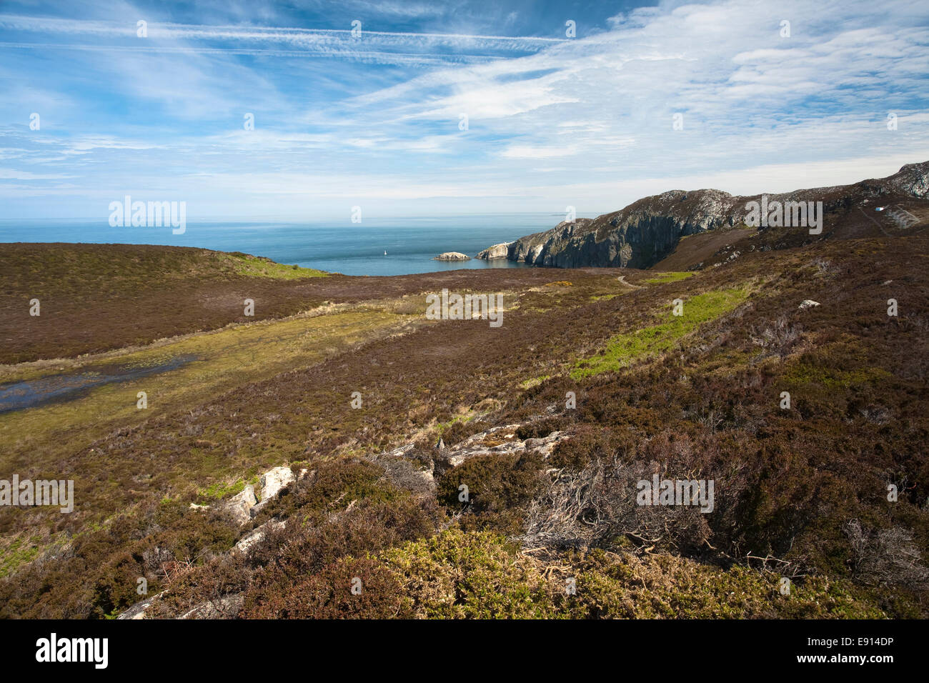 La côte d'Anglesey à proximité de South Stack, Pays de Galles Banque D'Images