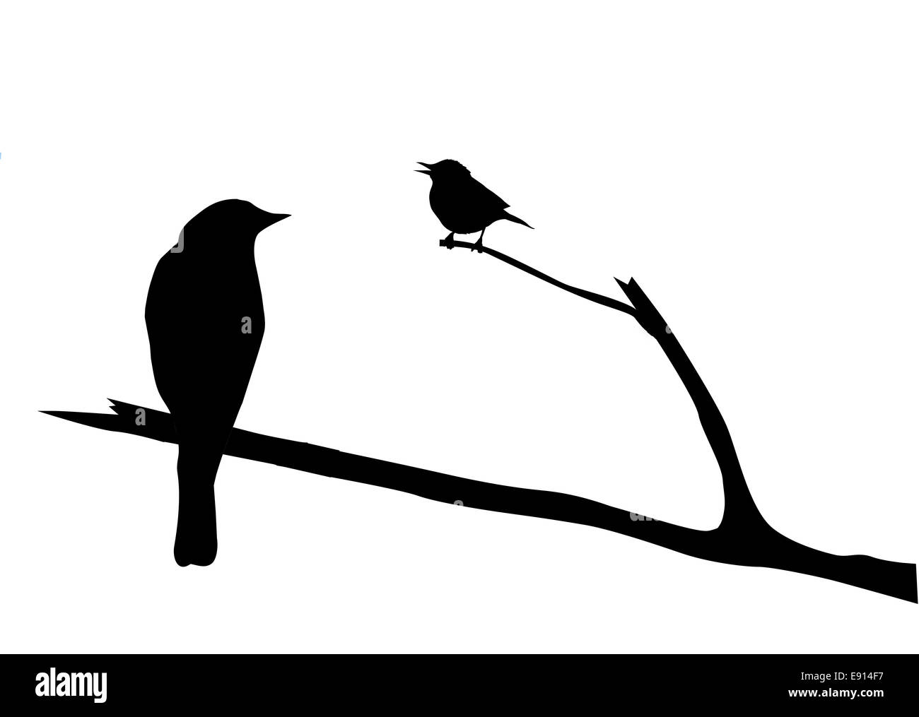 Silhouette de l'oiseau sur la branche Banque D'Images