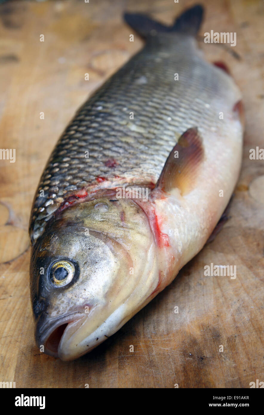 Ide sur une planche à découper Banque D'Images